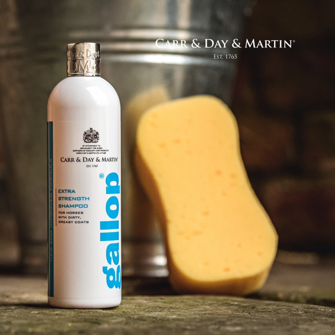 Carr&Day&Martin | Gallop Extra Starkes Shampoo - 500 ml