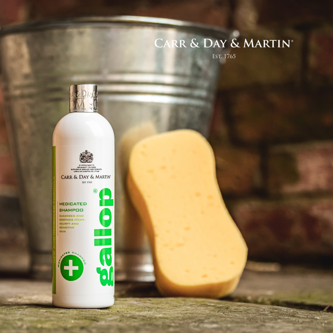 Carr&Day&Martin | Gallop Medizinisches Shampoo - 500 ml