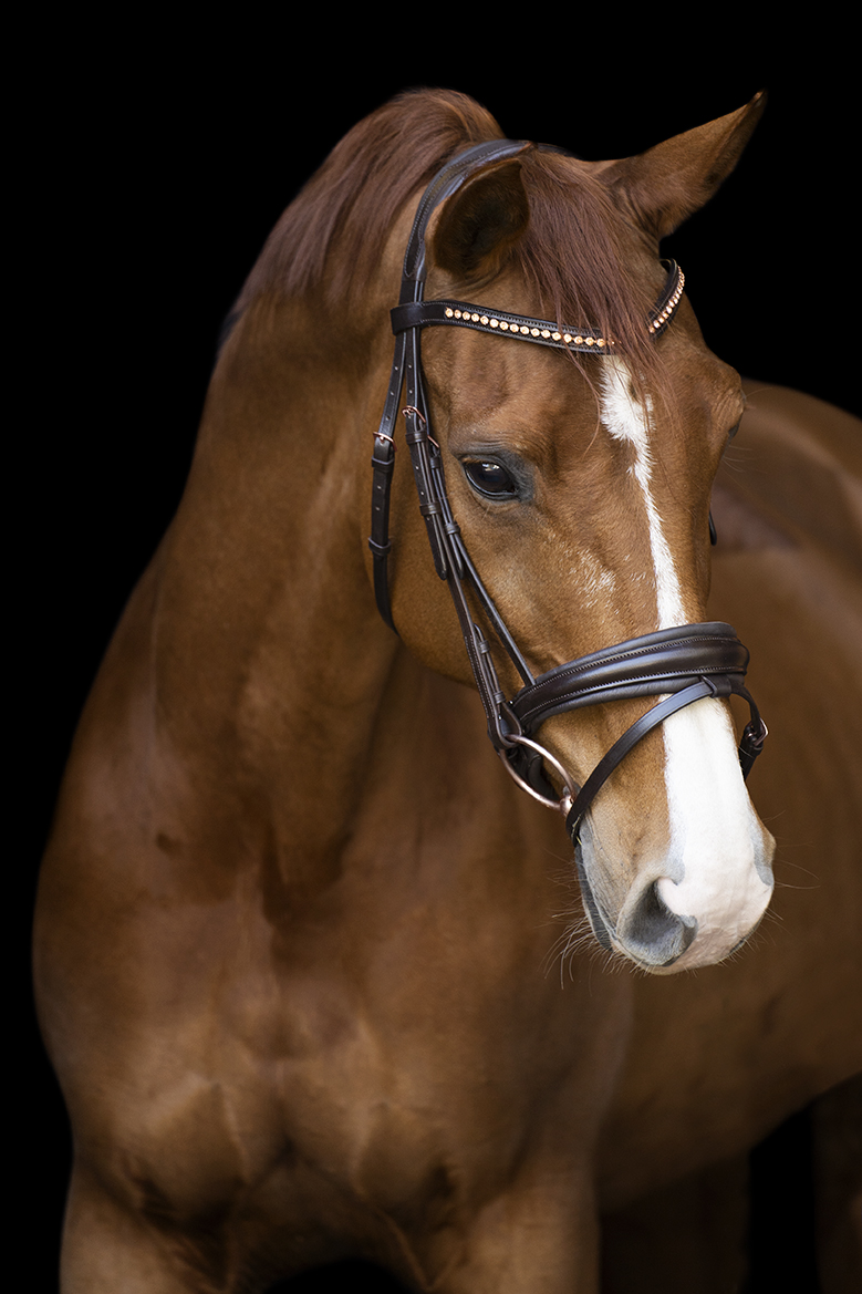 Imperial Riding | Trense Fria - anatomisch geformt | Brown | Full