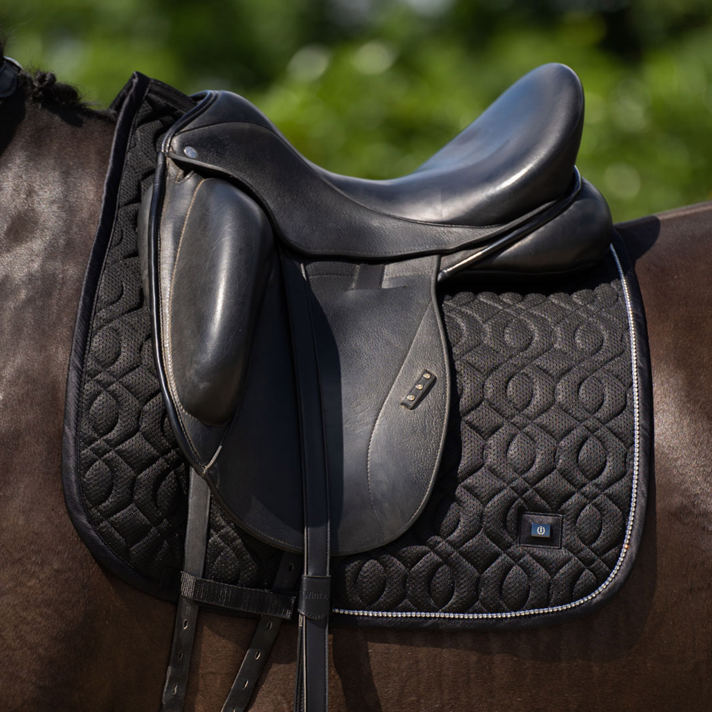 Imperial Riding | Schabracke Dancer DR | Black | Full