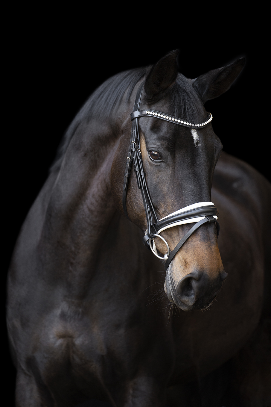 Imperial Riding | Trense Fria - anatomisch geformt | Schwarz-Weiß | Cob